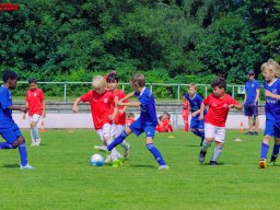 Hillen Cup 2024